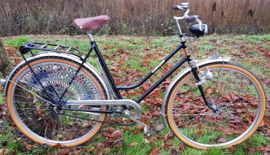 thule fahrradanhänger befestigung Kupplung für Chariot & Coaster schwarz Anhängerkupplung Adapter Fahrrad Kupplung für Kinder Anhänger +Plus Multifunktionswerkzeug Sport & Freizeit Wähle dein Motiv:Marienkäfer Mountain Bike Folding Devron elektrische stadsfiets