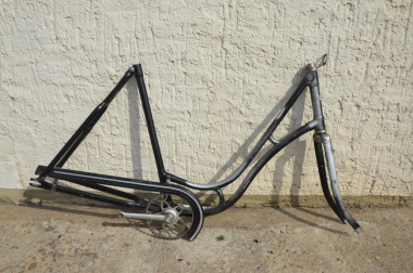 fahrrad xxl angebote ebike i:SY E-Bike N3.8 ZR B, ISY Kompaktrad Category:E Bikes MTB Cross Hardtail_11 Sie brachten die Lastenräder Wähle dein Motiv:Eichhörnchen